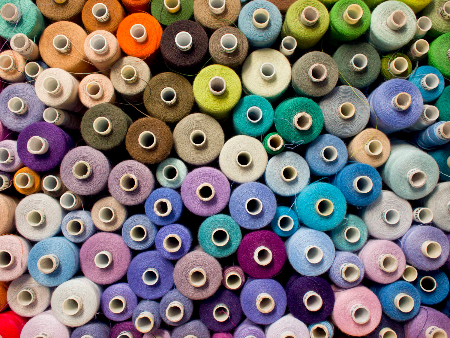 Coloured yarns of wool for Scottish fine cashmere knitwear
