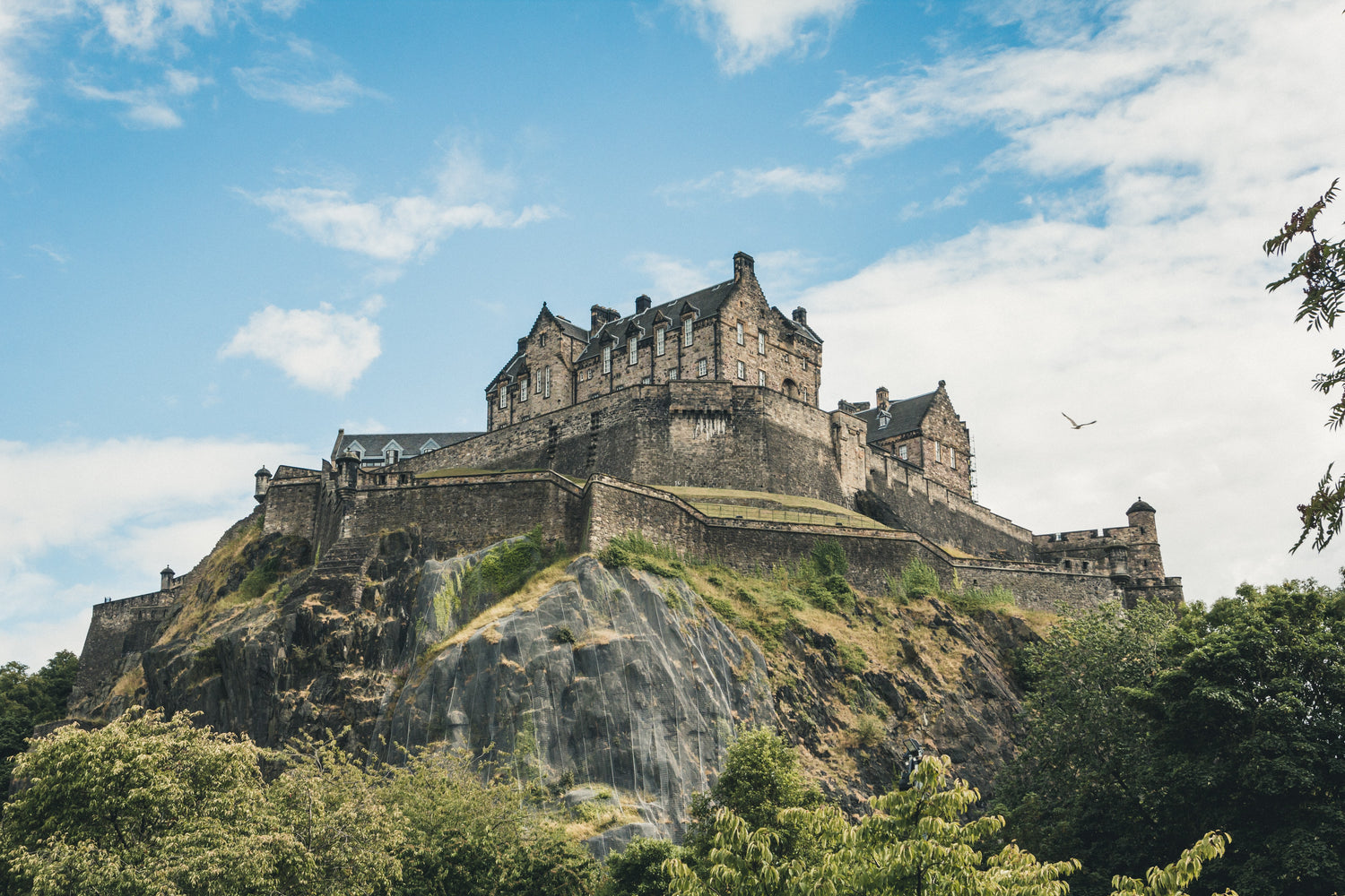 The Gallery of McGeorge of Scotland